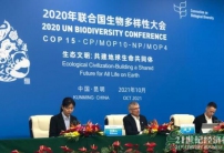 COP15：共建地球生命共同體，全球生物多樣性框架將聚焦4大長(zhǎng)期目標(biāo)
