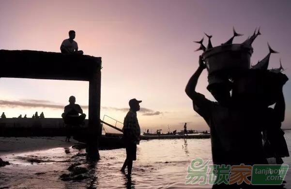 比特幣背后的區(qū)塊鏈技術(shù)，會(huì)是建立環(huán)境保護(hù)信任的關(guān)鍵嗎？