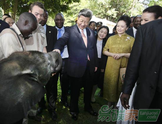 2015年12月2日，國家主席習近平在津巴布韋考察野生動物救助基地。新華社記者蘭紅光攝